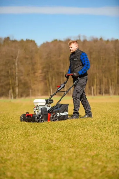 wertykulator-cedrus-cedwr01-h-cedwr01-h-stan-nowy-kod-produktu-5903228183003-produkt-wprowadzony-do-obrotu-na-terenie-ue-przed-13-12-2024-tak