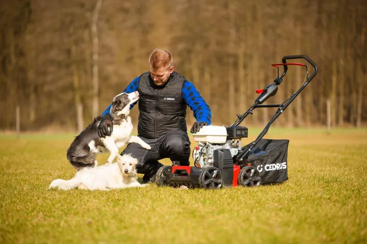 wertykulator-cedrus-cedwr01-h-cedwr01-h-kod-produktu-5903228183003-stan-nowy-produkt-wprowadzony-do-obrotu-na-terenie-ue-przed-13-12-2024-tak