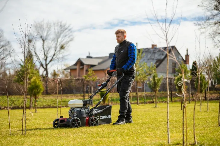 wertykulator-cedrus-cedwr01-h-cedwr01-h-stan-nowy