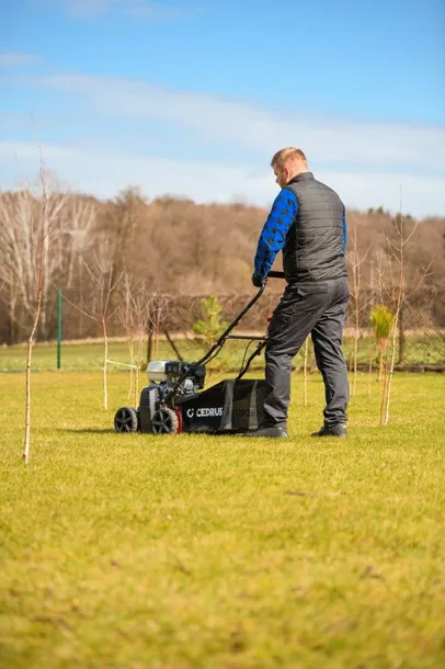 wertykulator-cedrus-cedwr01-h-cedwr01-h-kod-produktu-5903228183003