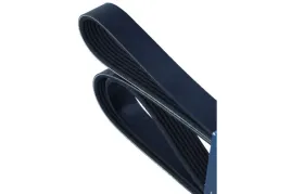 dayco-pasek-wielorowkowy-7dpk1697