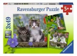 puzzle-3x49-kocieta