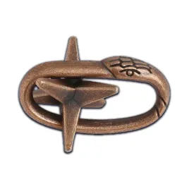 lamiglowka-kolczatka