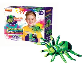 dumel-dd-30617-magiczne-malowanie-pajak