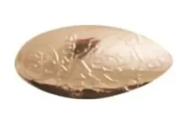 blystka-obrotowa-gryzzly-8g-nr-2-03-mistrall