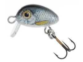 wobler-jaxon-hs-micron-2-s-bw