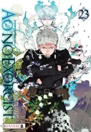 shounen-manga-blue-exorcist-mieszanka-akcji-i-humoru-ao-no-exorcist-tom-23