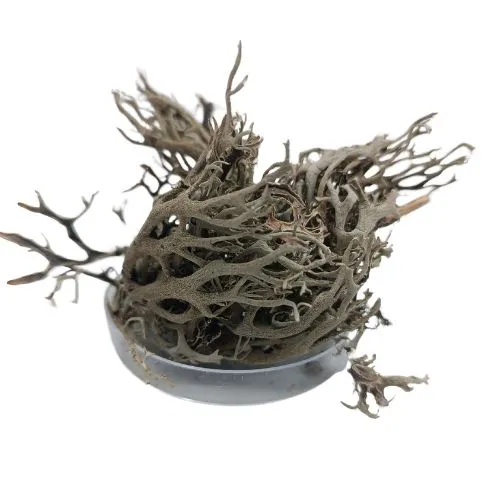 porost-szary-10g