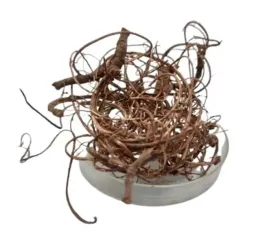 korzonki-curly-moss-20g