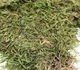 mech-naturalny-plat-25g-kod-producenta-018