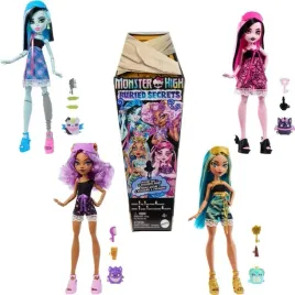 monster-high-ukryte-sekrety-lalka-i-akcesoria