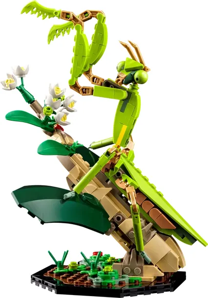 lego-ideas-21342-kolekcja-owadow-wiek-dziecka-10-lat