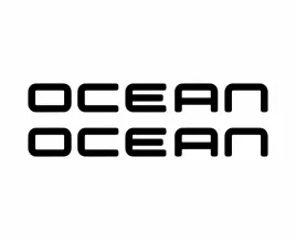 naklejka-vw-t5-t6-ocean-2-sztuki