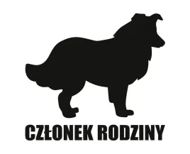 naklejka-czlonek-rodziny-or-border-collie