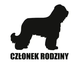 naklejka-czlonek-rodziny-or-briard-owczarek-francuski