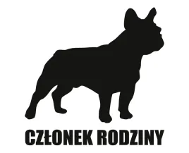 naklejka-czlonek-rodziny-or-buldog-francuski