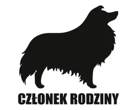 naklejka-czlonek-rodziny-or-collie