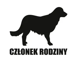 naklejka-czlonek-rodziny-or-golden-retriever