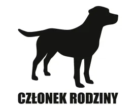 naklejka-czlonek-rodziny-or-labrador