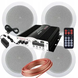 naglosnienie-sufitowe-4-glosniki-wzmacniacz-do-sauny-lazienki-salonu-lokalu