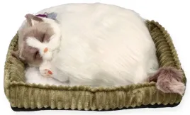 oddychajacy-kociak-ragdoll-perfect-petzz