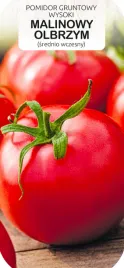 toraf-warzywa-pomidor-malinowy-olbrzym-nasion-05g