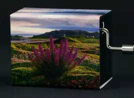 pozytywka-reczna-melodia-erika-hermsa-niela-utwor-marszowy