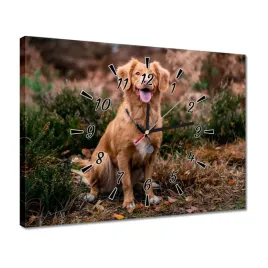 zegary-40x30-pies-piesek-psiaki