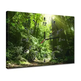 zegary-40x30-magiczny-las-krajobraz
