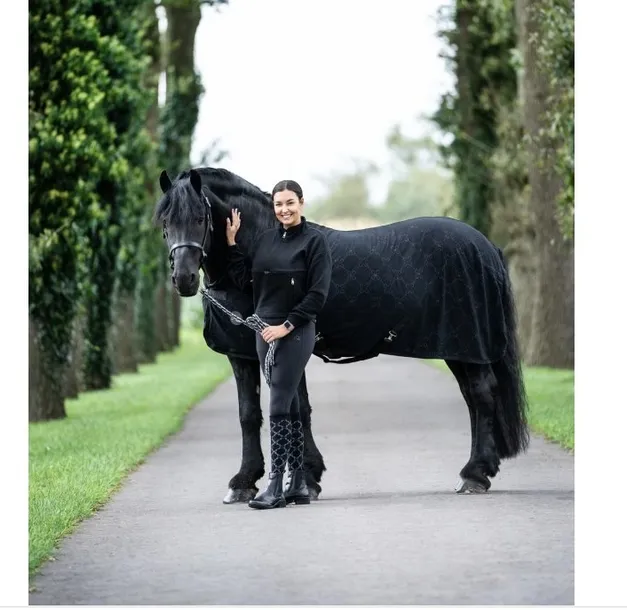 hkm-koc-na-konia-stan-nowy