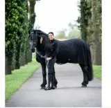 hkm-koc-na-konia-stan-nowy