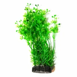 aquael-roslina-kepkowa-cp-057-6-15cm