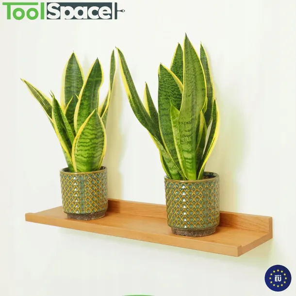 polka-debowa-10x30cm-maksymalne-obciazenie-polki-9-kg