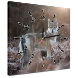 zegary-30x30-wilk-wilki-wolf