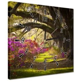 zegary-30x30-debowa-aleja