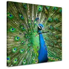 zegary-40x40-paw-w-okresie-godowym