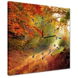 zegary-40x40-droga-w-lesie-jesien