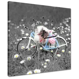 zegary-40x40-swinka-morska-z-rowerkiem
