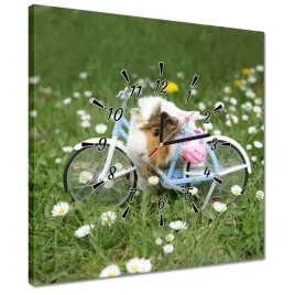 zegary-40x40-swinka-morska-na-lace