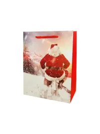 torebka-prezentowa-23-18-10cm-mikolaj-na-rowerze