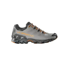 ultra-raptor-ii-leather-gtx