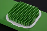 alligator-plastikowy-mini