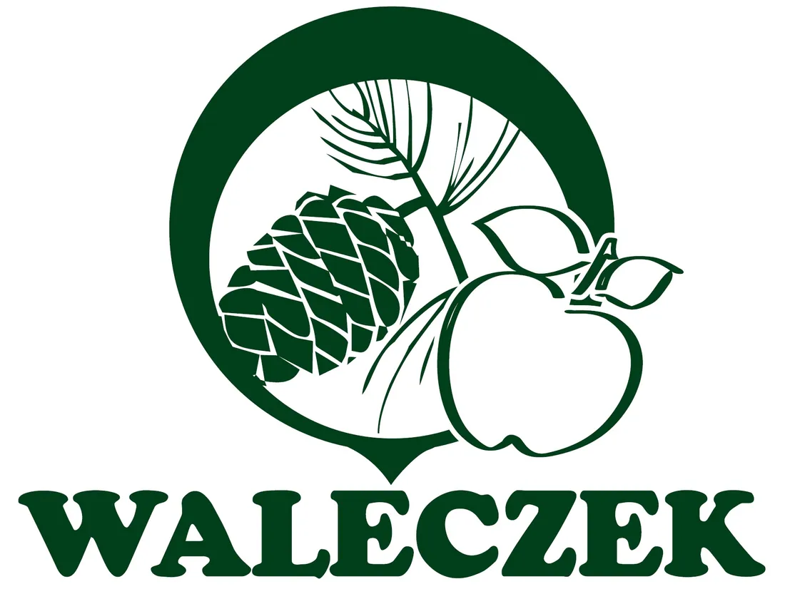 wierzba-kurome-salix-kurome-rodzaj-rosliny-wierzby