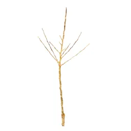 jablon-domowa-geneva-early-malus-domestica-geneva-early