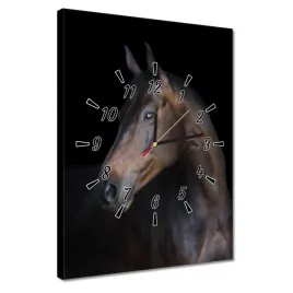 zegary-30x40-kon-konski-leb-glowa