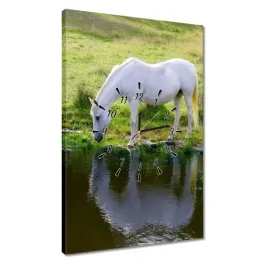 zegary-40x60-bialy-kon