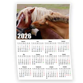 kalendarz-2026-scienny-plakatowy-a3-niedziele-handlowe-konie-26-6a-01998