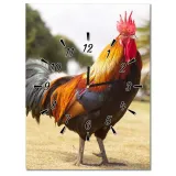 zegary-30x40-kogut-stan-nowy