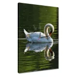 zegary-40x60-labedz