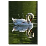 zegary-40x60-labedz-stan-nowy